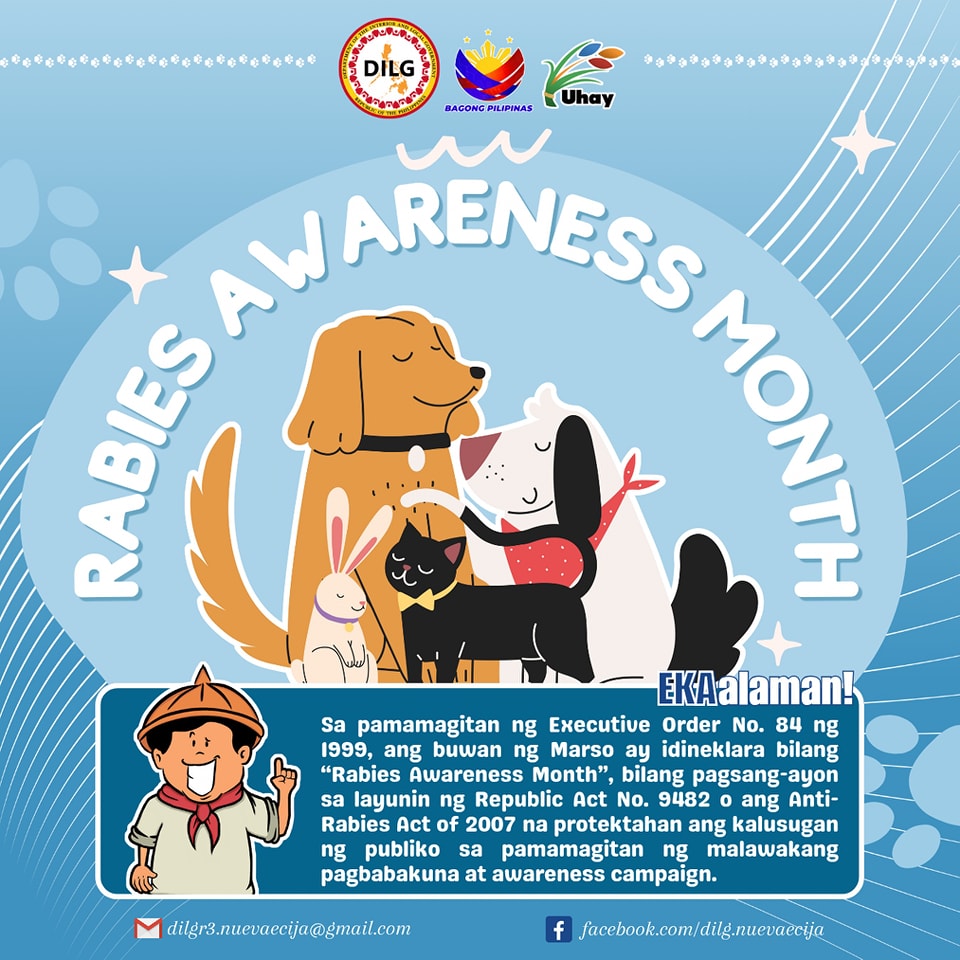 Rabies Awareness Month